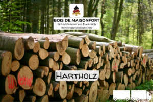 Stammholz Hartholz / Laubholz – LKW-Ladung (20 - 40  RM)