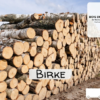 Stammholz Birke – LKW-Ladung flexibel (20 RM oder 40 RM)