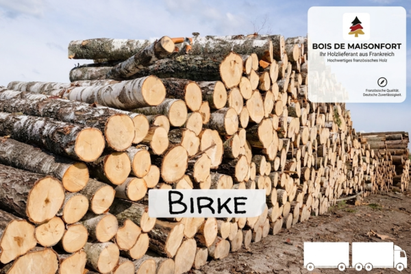 Stammholz Birke – LKW-Ladung flexibel (20 RM oder 40 RM)