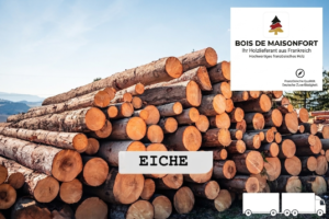 Stammholz Eiche – LKW-Ladung flexibel (20 RM oder 40 RM)