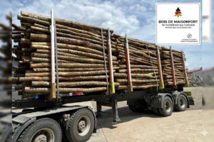 Aktionssortiment Buche / Esche – LKW-Ladung (ca. 45 RM)