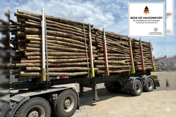 Aktionssortiment Buche / Esche – LKW-Ladung (ca. 45 RM)