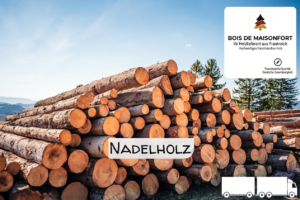 Stammholz Nadelholz – LKW-Ladung flexibel
