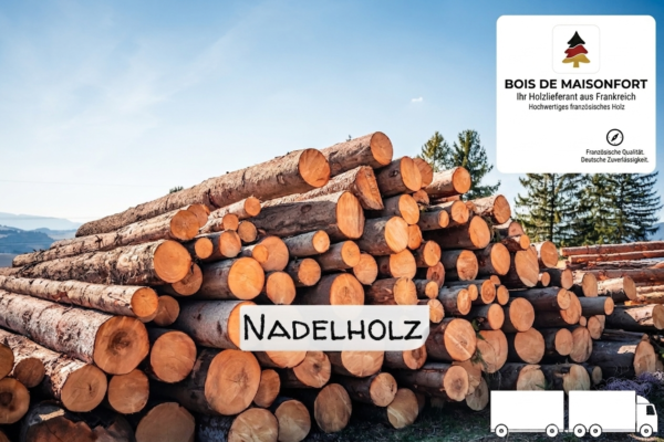 Stammholz Nadelholz – LKW-Ladung flexibel