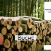Stammholz Buche – LKW-Ladung (wahlweise ganz oder halb)