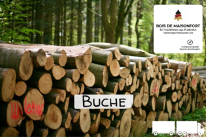 Stammholz Buche – LKW-Ladung (wahlweise ganz oder halb)