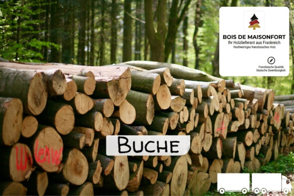 Stammholz Buche – LKW-Ladung (wahlweise ganz oder halb)